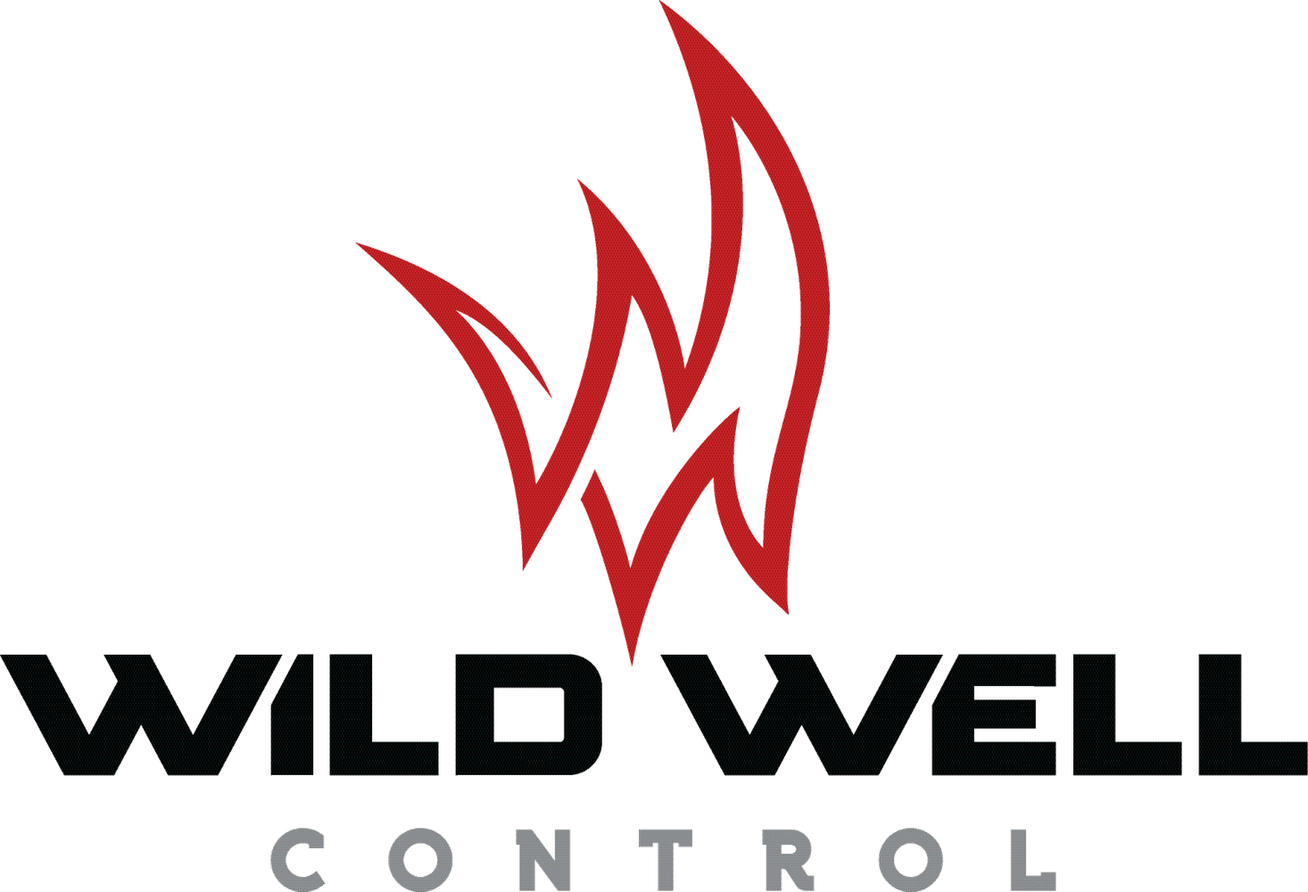 Wild Well Control